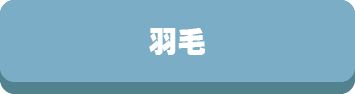 掛け布団,掛布団,掛けふとん,掛ふとん,年間,オールシーズン,洗える,丸洗い,素材,選び方