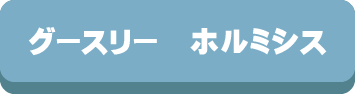 グースリー,岩盤浴,ホルミシス,洗える,ホコリが出ない,選び方